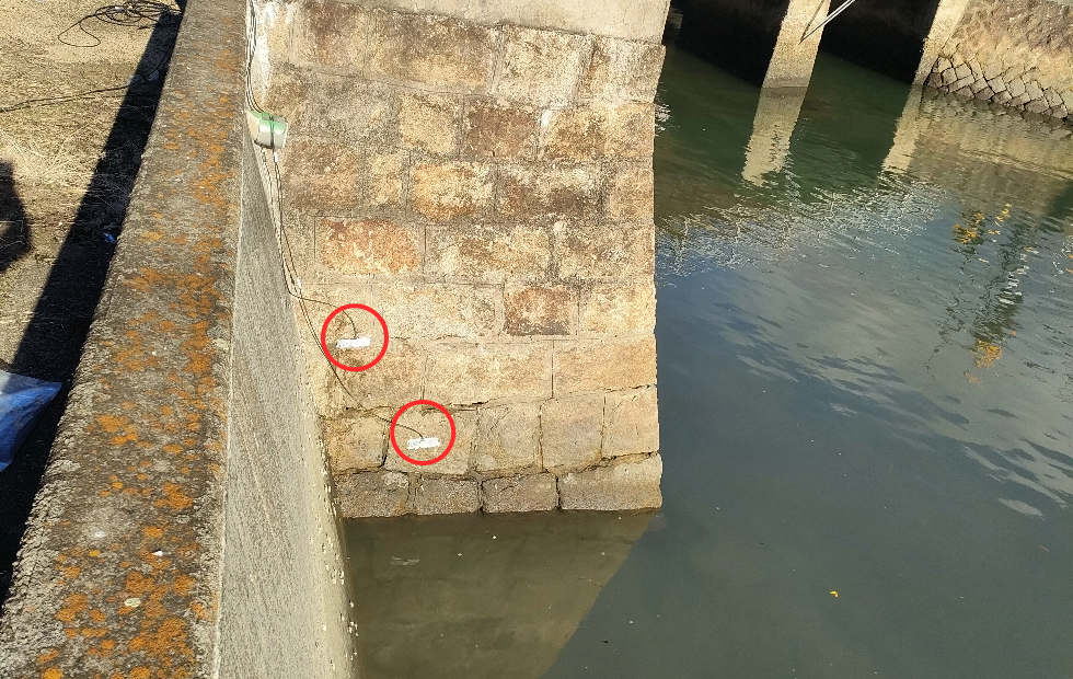 河川への設置の写真